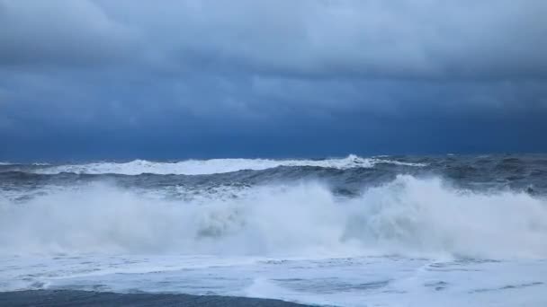 Ondas Tempestade Praia Negra Reynisfjara Inverno Vik Islândia — Vídeo de Stock