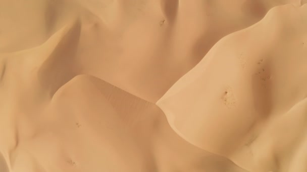落日笼罩在沙漠的沙丘上 — 图库视频影像