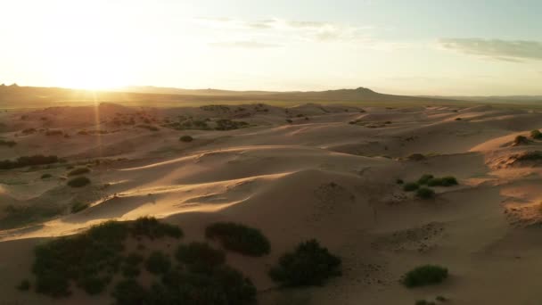 落日笼罩在沙漠的沙丘上 — 图库视频影像