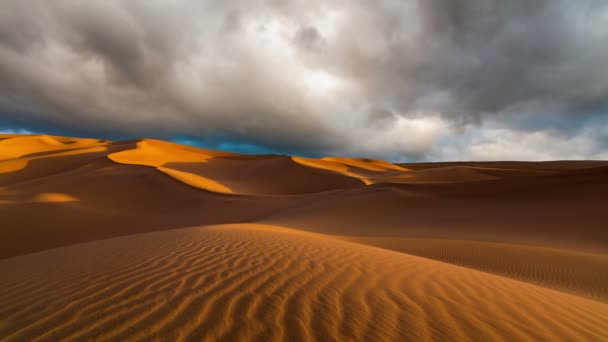 Coucher Soleil Sur Les Dunes Sable Dans Désert — Video