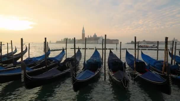 Βενετία Gondolas Στην Πλατεία San Marco Βενετία Ιταλία — Αρχείο Βίντεο