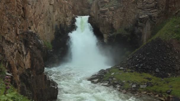 Waterval Papegaaien Bij Dezelfde Pas Hoogte Van Waterval Meter — Stockvideo