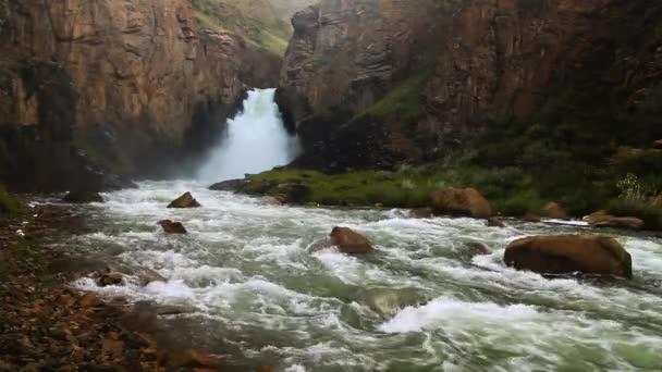 Cascada Loros Mismo Paso — Vídeo de stock