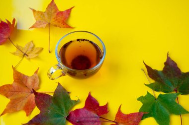 Sonbahar hala hayattır. Sarı arka planda sonbahar renkli akçaağaç yapraklı bir fincan sıcak çay.