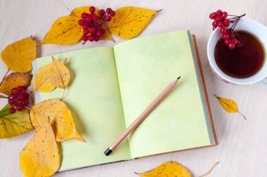 Sonbahar, açık bir kitapla hayat ve viburnum ile çay.