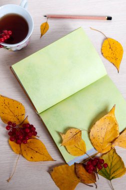 Sonbahar, açık bir kitapla hayat ve viburnum ile çay.