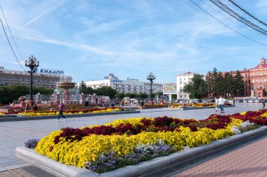 Rusya, Khabarovsk, 8 Ağustos 2019: Yazın Khabarovsk şehrinin ana caddesindeki Lenin Meydanı 'nda çiçek tarlası