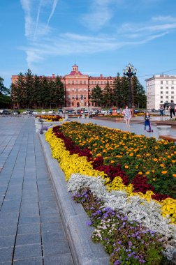 Rusya, Khabarovsk, 8 Ağustos 2019: Yazın Khabarovsk şehrinin ana caddesindeki Lenin Meydanı 'nda çiçek tarlası