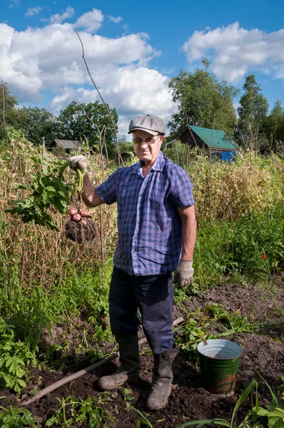 Yazlık evlerinde elinde kırmızı patates çubuklarıyla üst katları tutan emekli bir erkek.