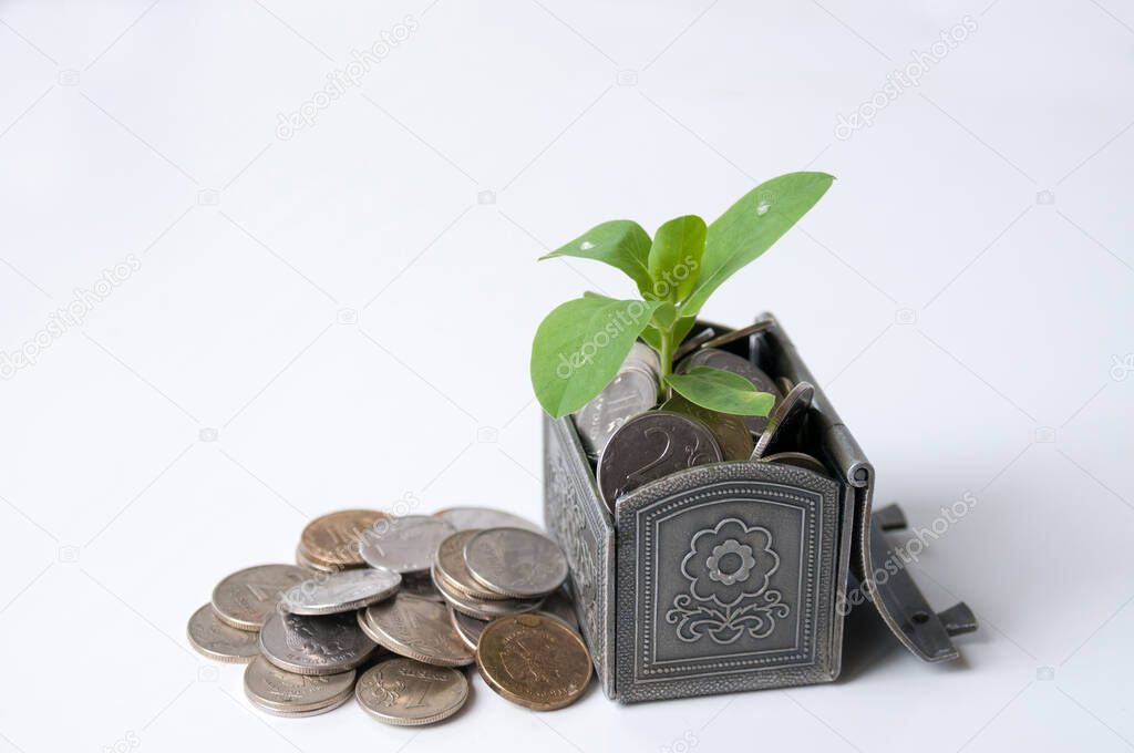 Green plant in coins in the chest and close rubles