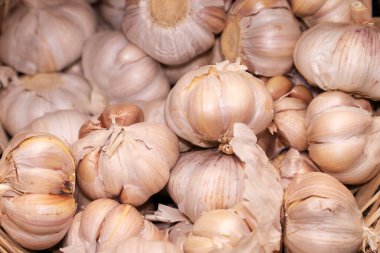 Bir grup sarımsak soğanı. 