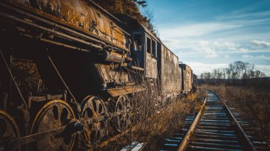 Rus ormanında terk edilmiş buharlı lokomotif