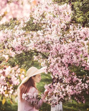 Çiçekli elma bahçesi. Hasır şapkalı ve pembe bluzlu beyaz bir kız. Ağaçlardaki çiçekler pembedir. Kızın uzun kızıl saçları rüzgarda dalgalanıyor. Gün batımı parlak fotoğraf
