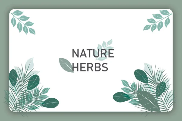 Horizontal Botanical Banner Brochure Green Leaves Herbs Plants Illustration Decorated — Stock Vector