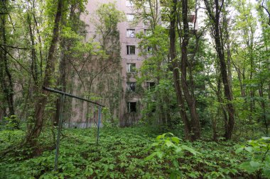 Pripyat 'ın terk edilmiş hayalet kasabasındaki aşırı gelişmiş bahçe, kıyamet sonrası şehir, Çernobil sınırlama bölgesinde yaz mevsimi, Ukrayna