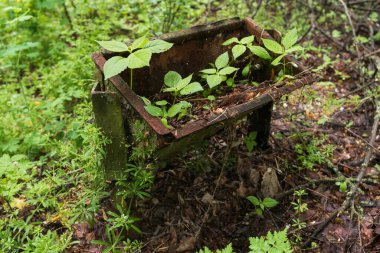Pripyat 'ın terk edilmiş hayalet kasabasındaki eski çöp kutusu, kıyamet sonrası şehir, Çernobil' de yaz mevsimi yasaklama bölgesi, Ukrayna