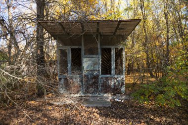 Pripyat hayalet kasabasında terk edilmiş bir mağaza, kıyamet sonrası şehir, Çernobil sınırlama bölgesinde sonbahar mevsimi, Ukrayna