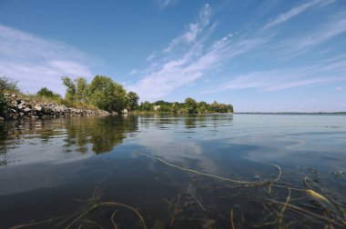 Çernobil Nükleer Santrali 'nin serinleme göleti, Ukrayna' da yaz mevsimi yasaklama bölgesinde