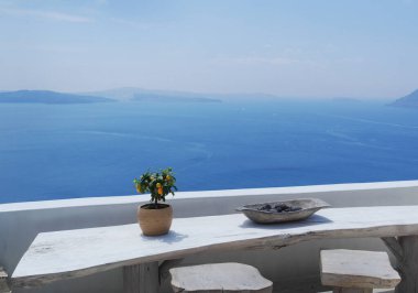 Santorini Yunanistan 'da denizin arka planında bir portakal ağacıyla yaşam