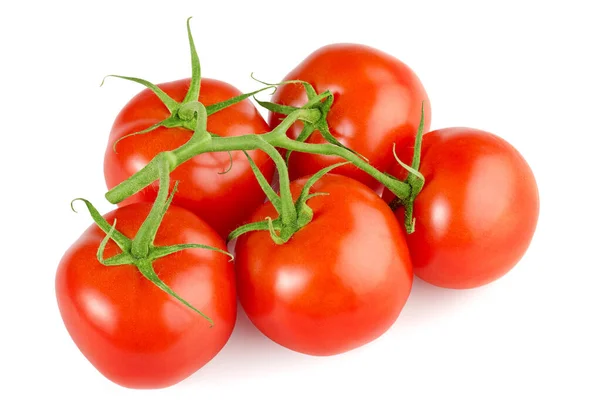 Ramo Tomates Rojos Aislados Sobre Fondo Blanco —  Fotos de Stock