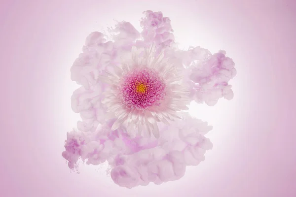 Biały Różowy Kwiat Bladoróżowej Chmurze — Zdjęcie stockowe