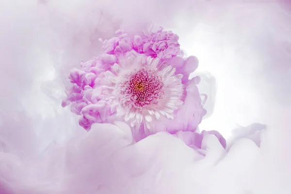 Różowy Chryzantema Wiry Kolorowe Chmury — Zdjęcie stockowe