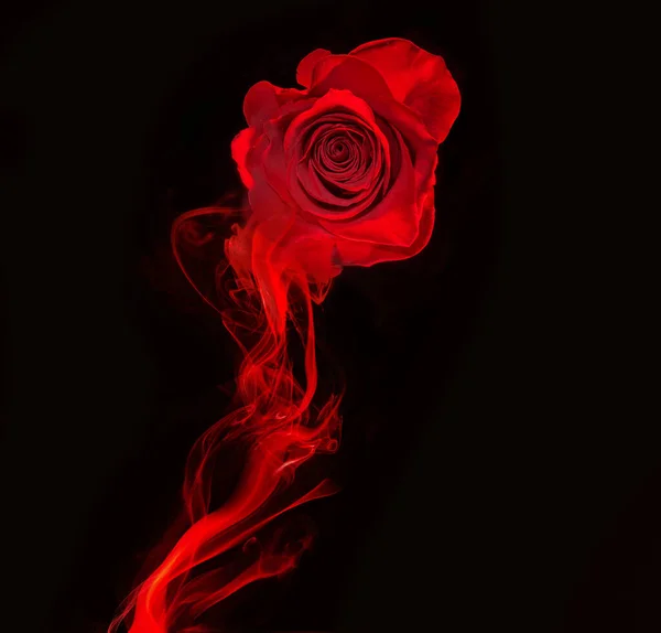 红色的烟雾在黑色的背景上形成的玫瑰和漩涡 — 图库照片