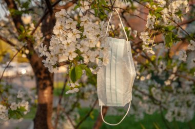 Bahar ağaçlarının dallarında koruyucu tıbbi maske. Coronavirus karantina konsepti.