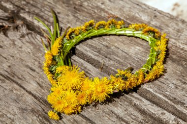 Bahar çiçeği çelengi. Doğal karahindiba çelengi