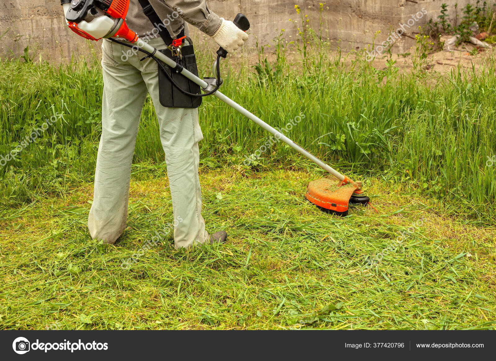 Worker Mowing Grass Trimming Machine Stock Photo IraidaBoo 377420796