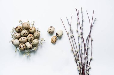 Söğüt dalı ve bıldırcın yumurtası