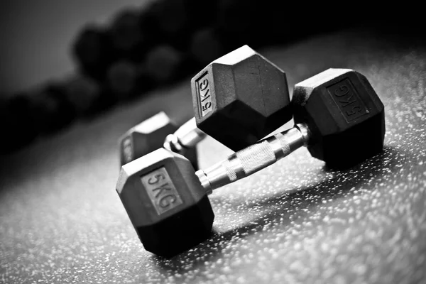 CrossFit spor salonunda dambıllar yerde.