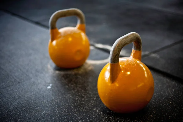 Timsah derisi bir spor salonunda yerde kettlebell var.