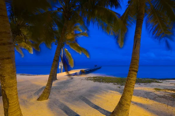 Noche en Key West Florida Imagen De Stock