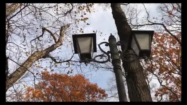 Déplacement autour d'une lanterne historique dans un parc forestier pendant la journée, par temps ensoleillé. Vue du bas vers le haut dans un cercle contre le ciel . — Video