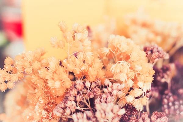Vintage Blume Gras Hintergrund — Stockfoto