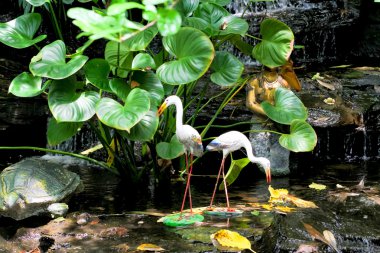 yeşil yaprakları ve hayvan heykeli ile küçük Bahçe