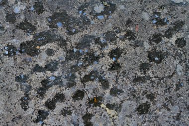 beton zemin zemin üzerine parça çatlamak