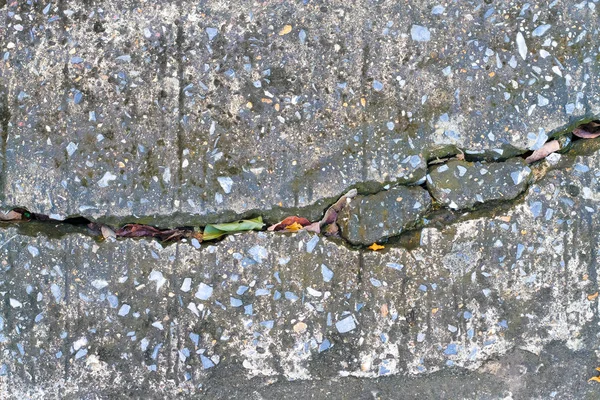 Fissure de fragment sur fond de plancher en béton — Photo