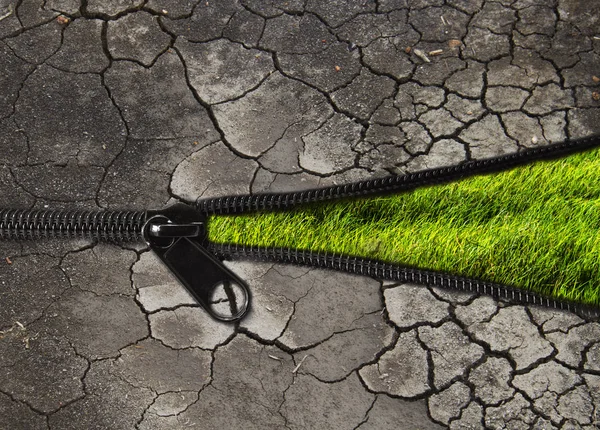 Environmentally concept : change the arid soil to the green plant — Stock Photo, Image