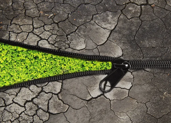 环保概念︰ 改变土壤干旱对绿色的植物 — 图库照片