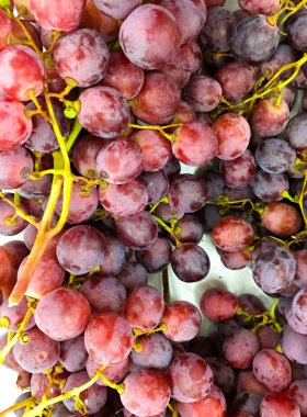 Kırmızı şarap üzüm arka plan / kara üzüm, üzüm, kırmızı mavi üzüm