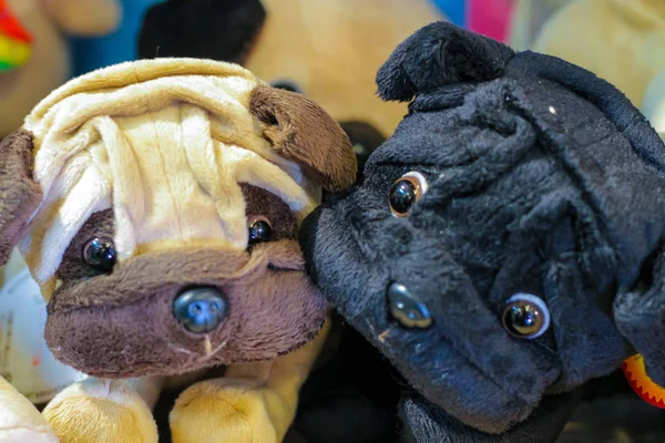 Close Up di cani giocattolo cercando amico interessato espressione sul suo — Foto Stock