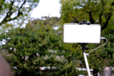 Cep telefonları ve selfie zemin üzerine yeşil ağaç sopa