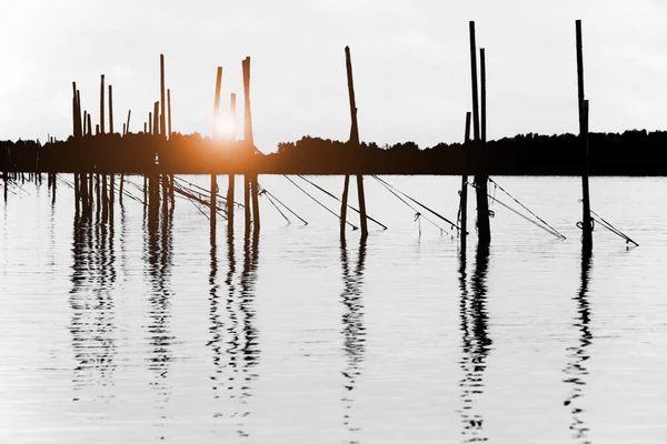Deniz soyut doğa arka kutbunda bambu