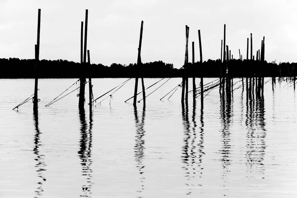 Deniz soyut doğa arka kutbunda bambu