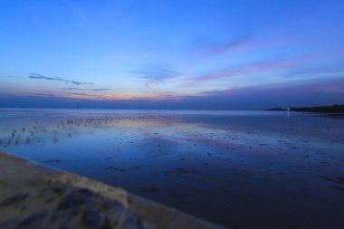 su üzerinde martı duran alacakaranlık gökyüzü arka plan, Tayland sırasında doğal arka plan.