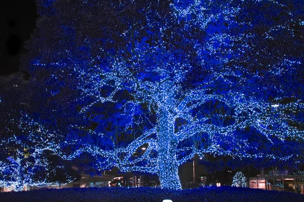 Lampor Ljus Träd Dekorativa Utomhus Sträng Ljus Hänger Trädet Trädgården — Stockfoto
