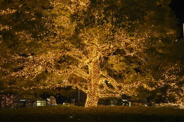 Lamps light on tree : Decorative outdoor string lights hanging o