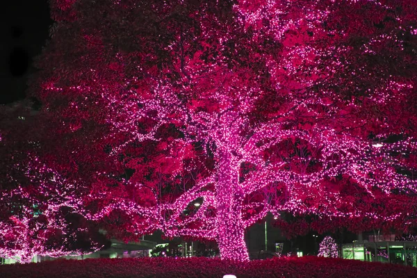 Lampor Ljus Träd Dekorativa Utomhus Sträng Ljus Hänger Trädet Trädgården — Stockfoto
